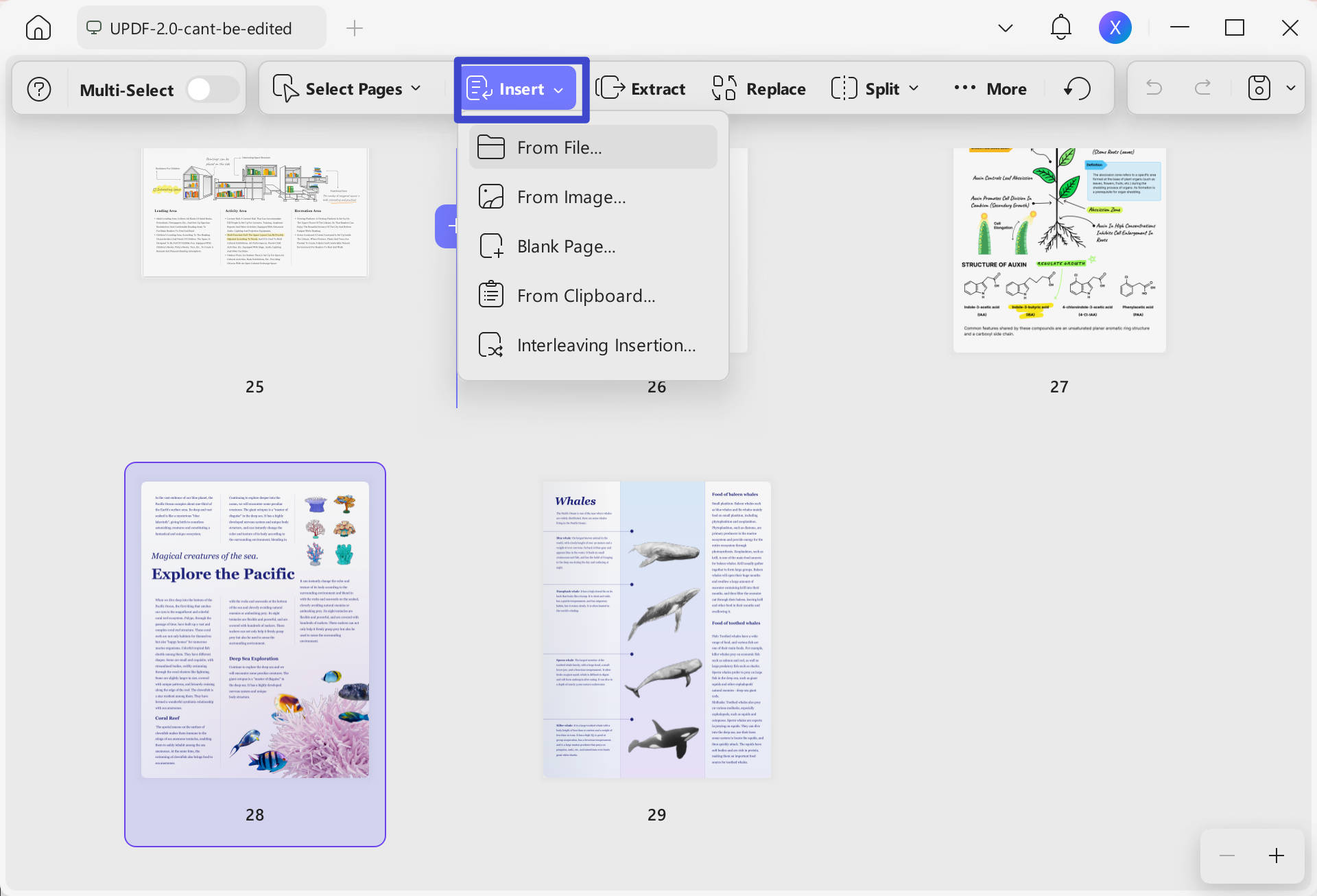insert pages to pdf