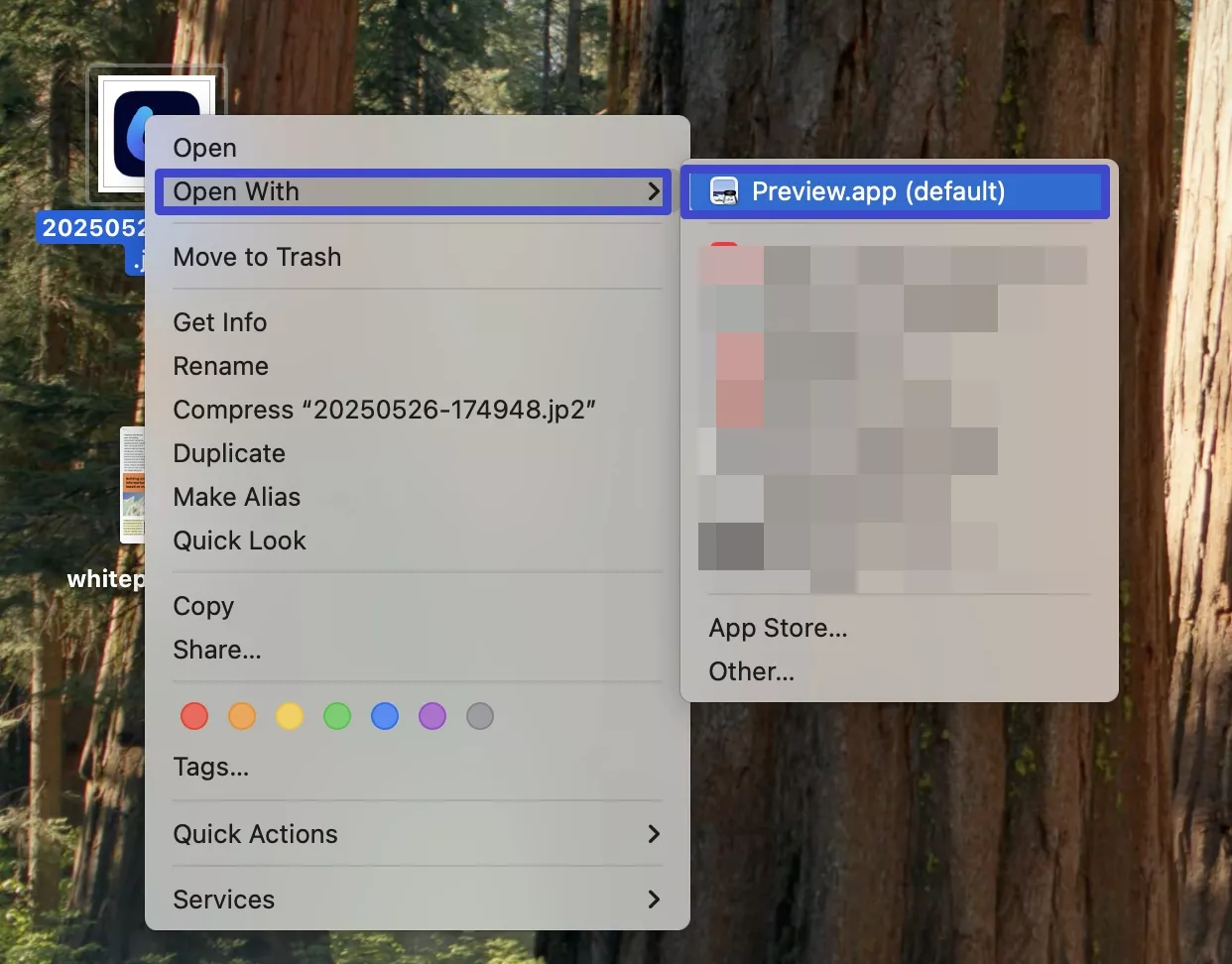 open image with preview mac