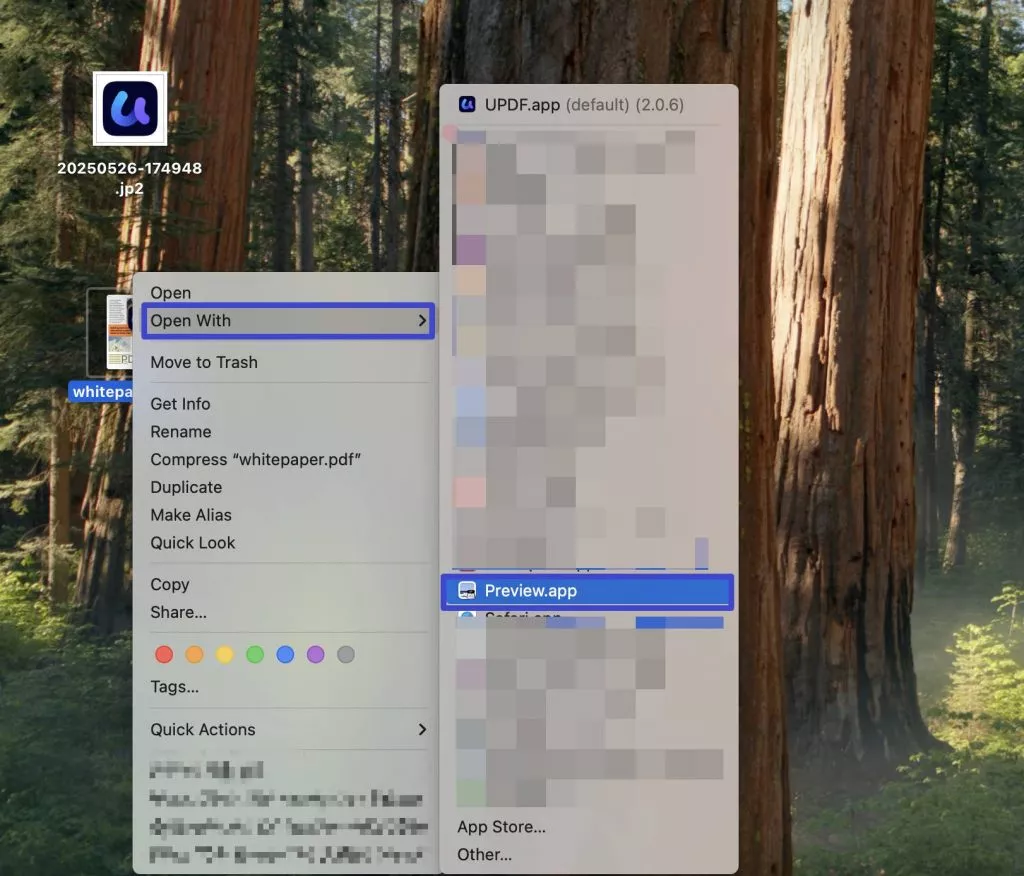 open pdf with preview mac