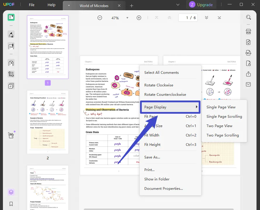 open pdf with adobe not chrome with different page display mode