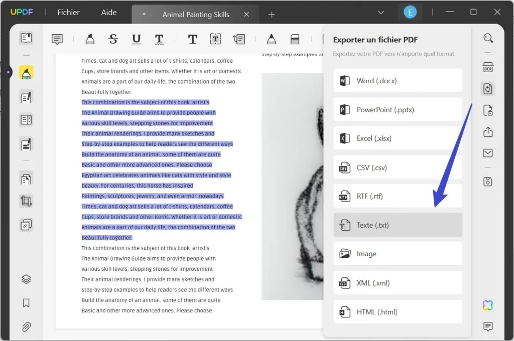 convertir pdf en texte