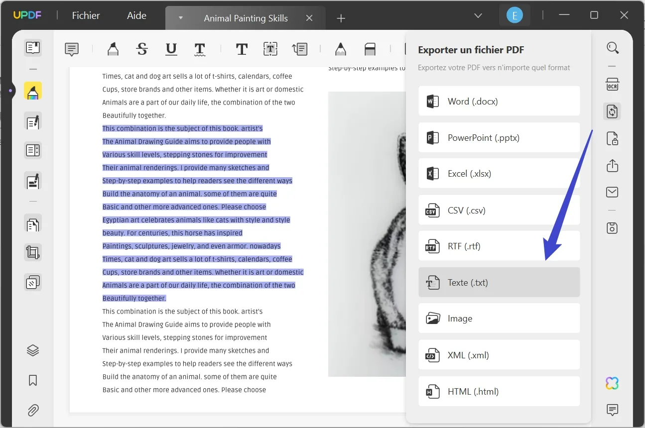 convertir pdf en txt