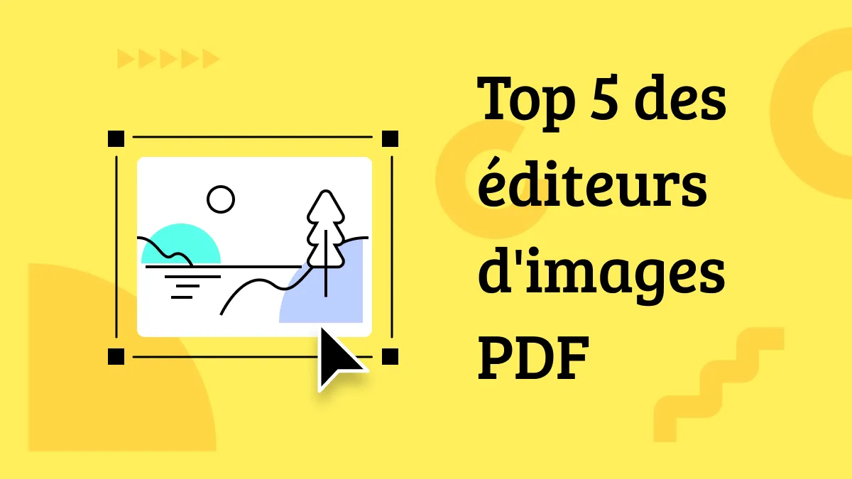 Top 5 des éditeurs d'images PDF pour vous offrir la meilleure flexibilité