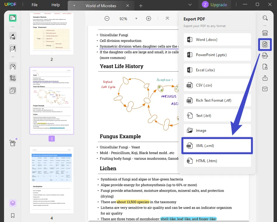 3-formas-de-convertir-pdf-a-xml-r-pidamente