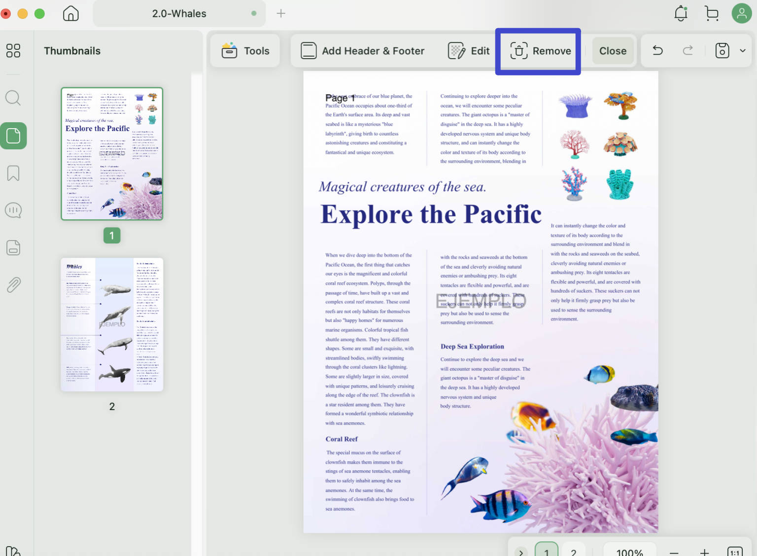 remove header and footer in pdf online
