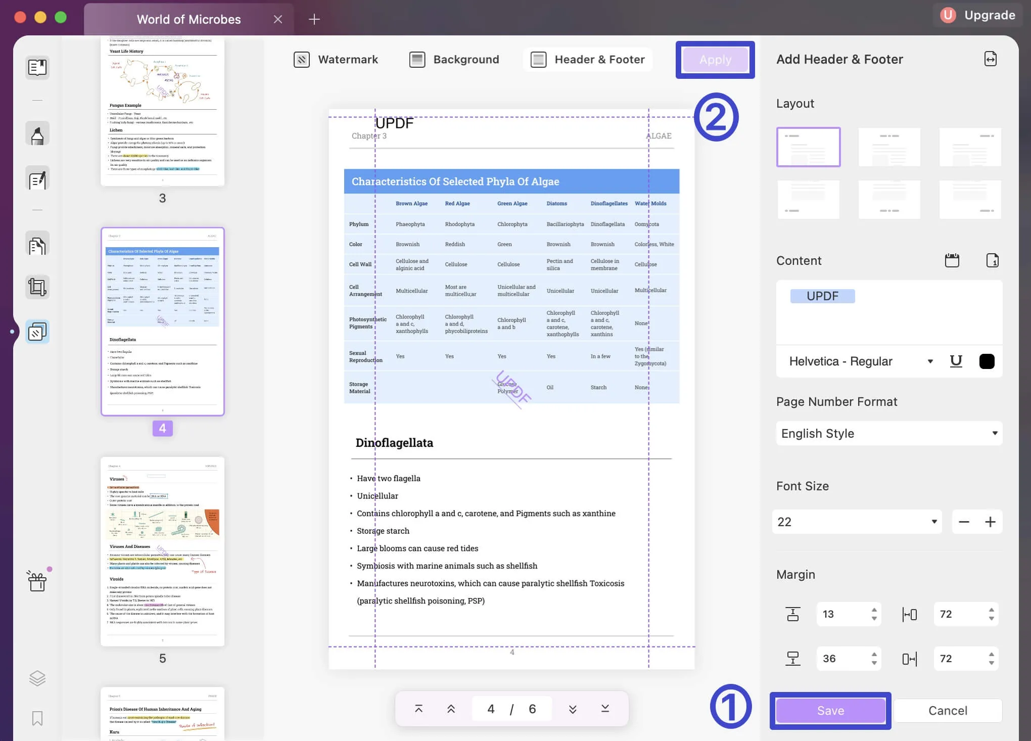 encabezado y pie de pagina en pdf