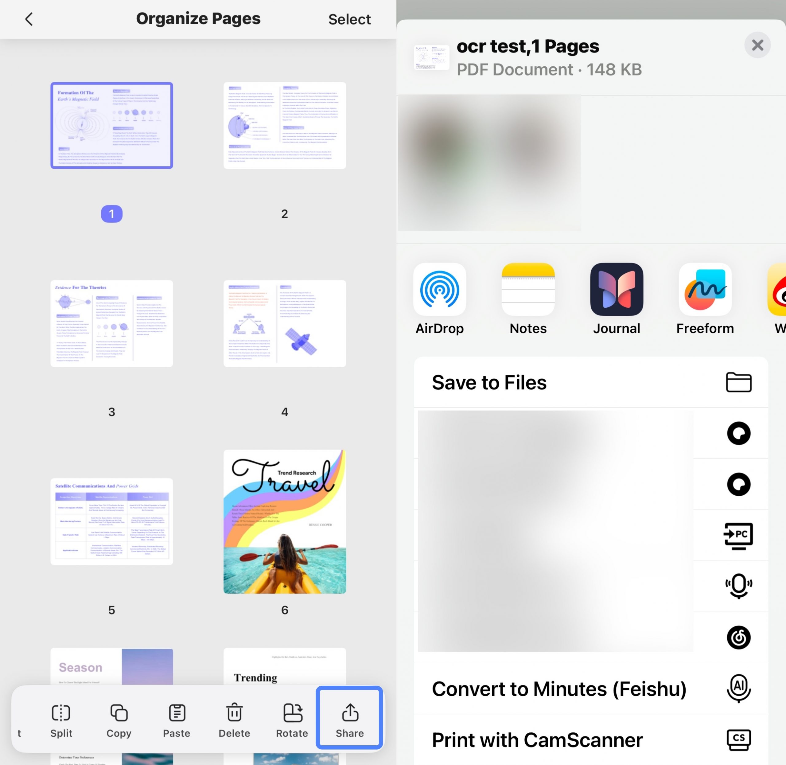 share pages