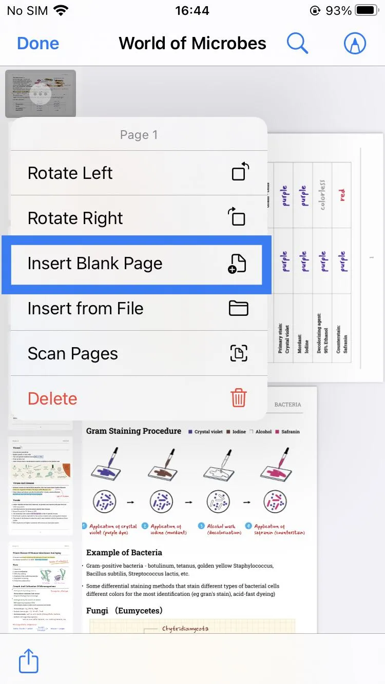 insert blank pages on ios