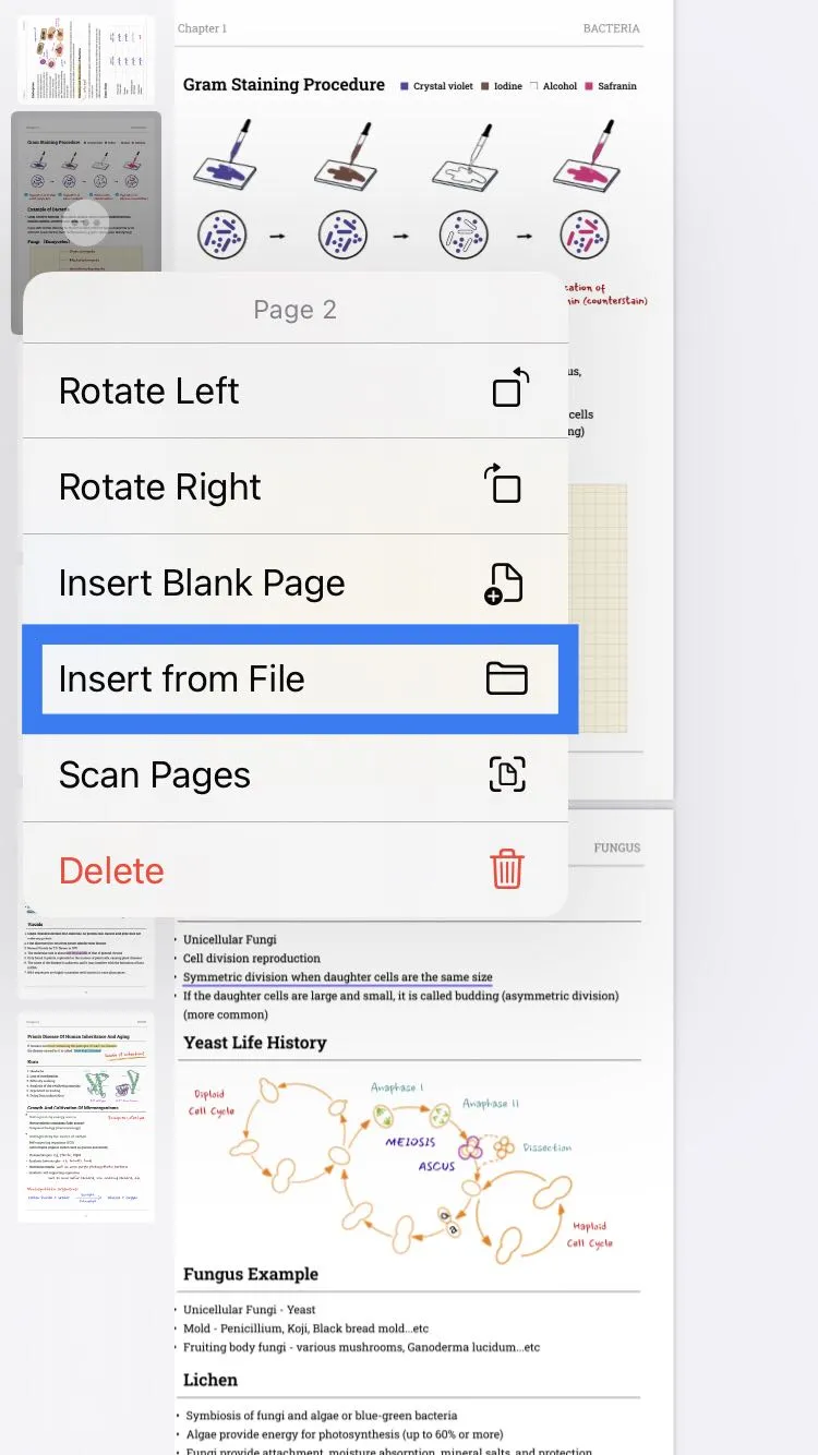 insert a file on ios