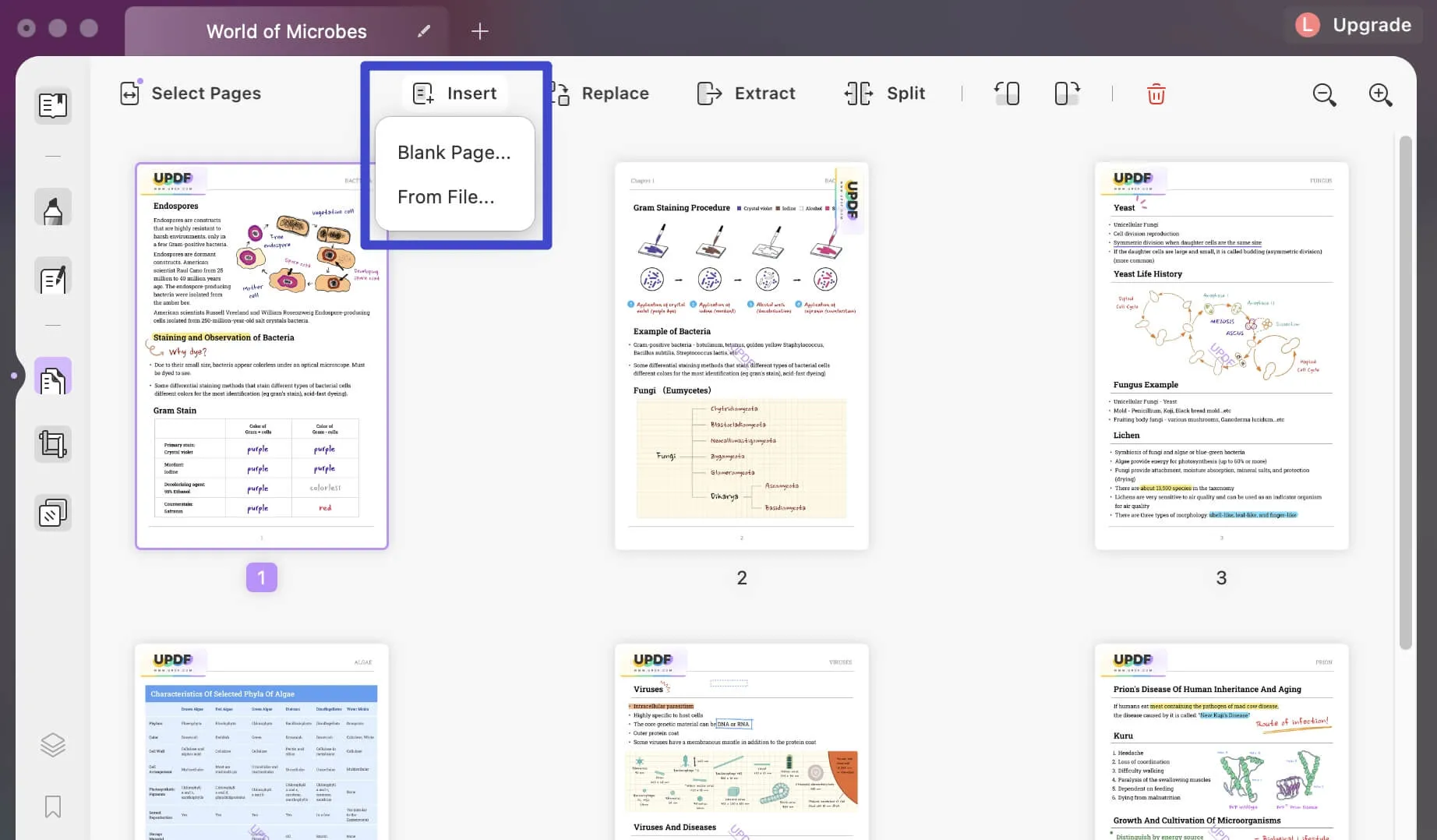 Insert PDF pages to merge pdf files on mac using UPDF