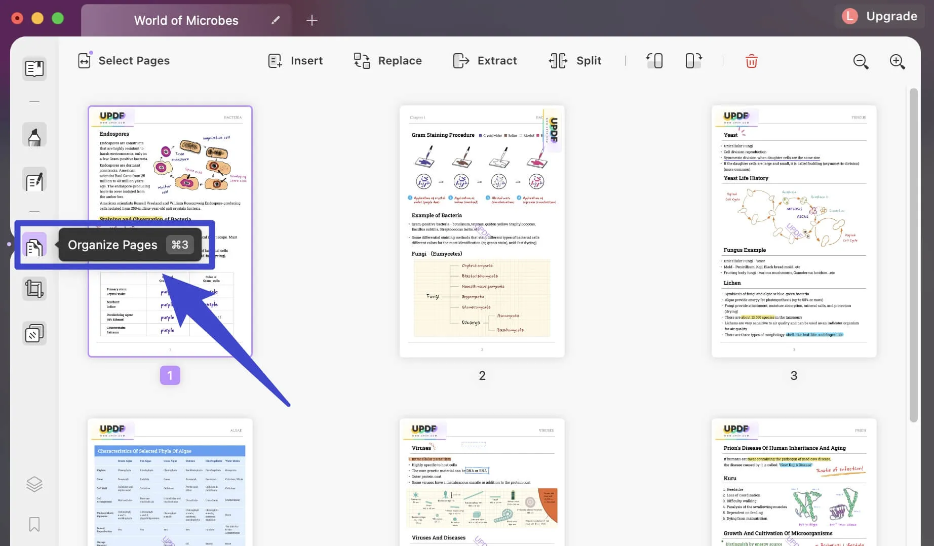 How to Split PDF Pages