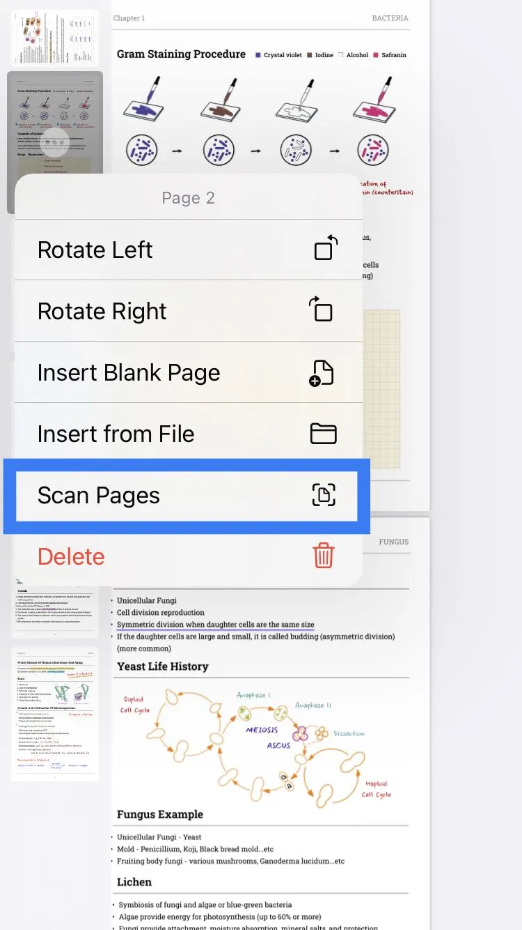 insert scan pages on ios