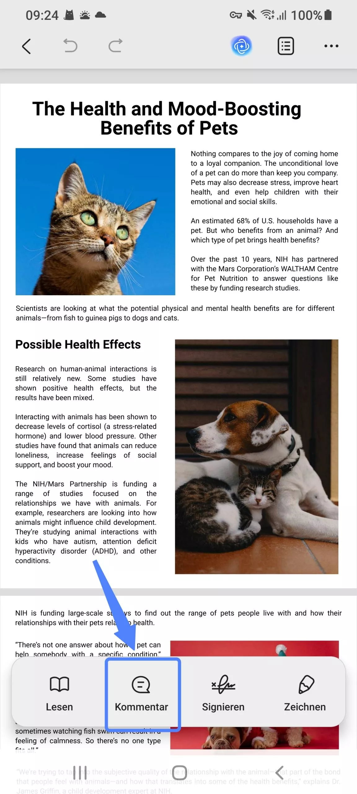 Textkommentar hinzufügen