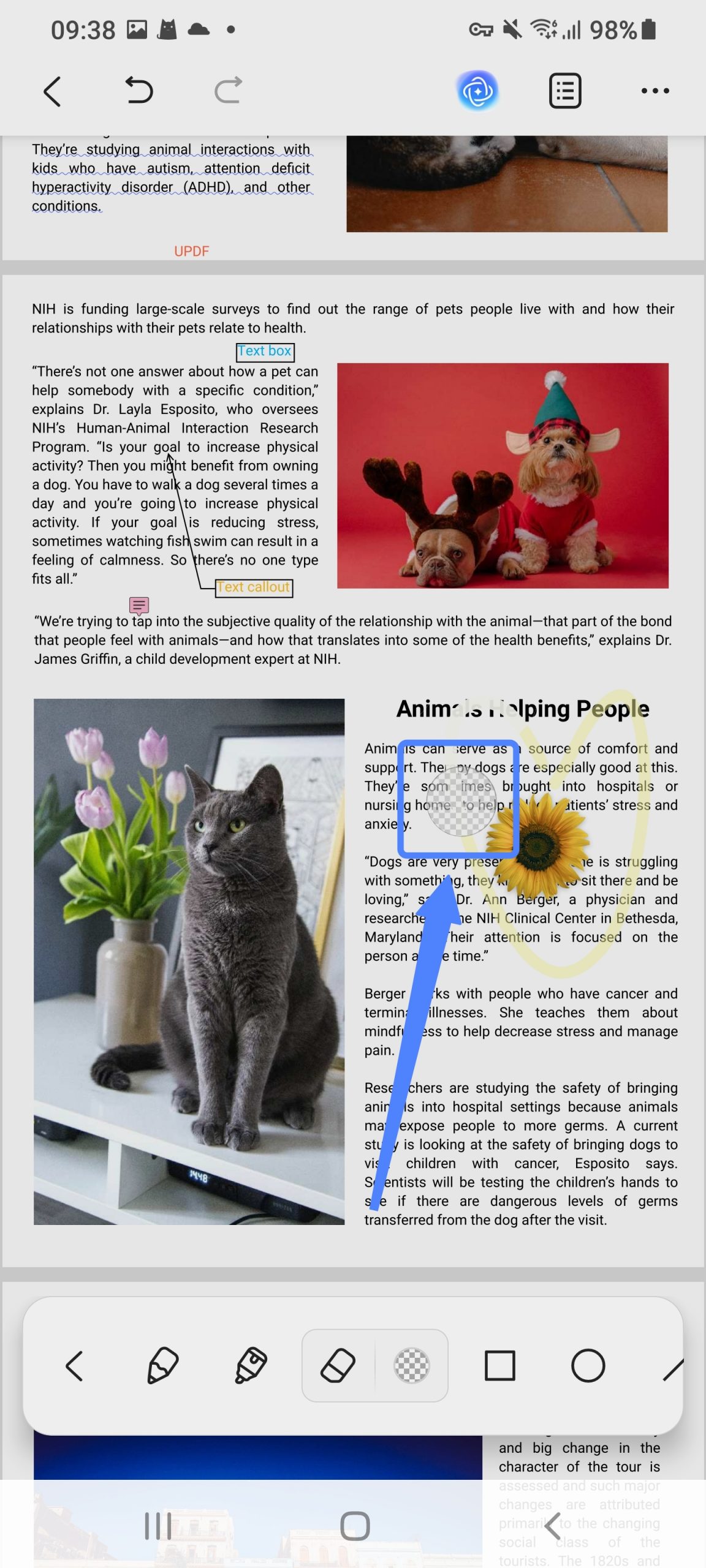 In PDF zeichnen