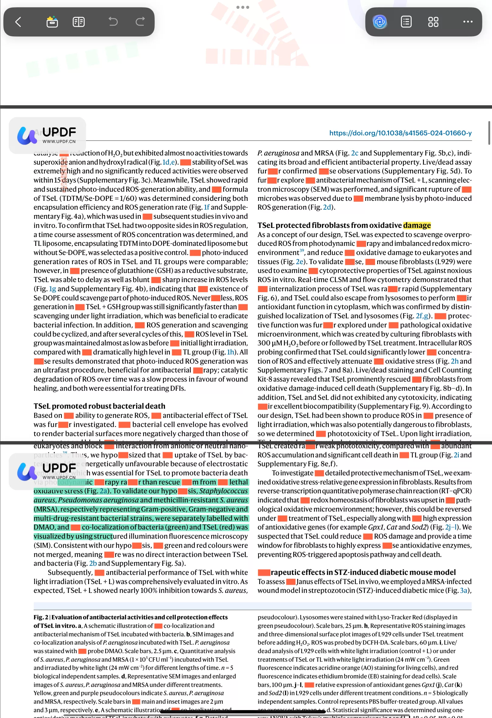 annotate pdf