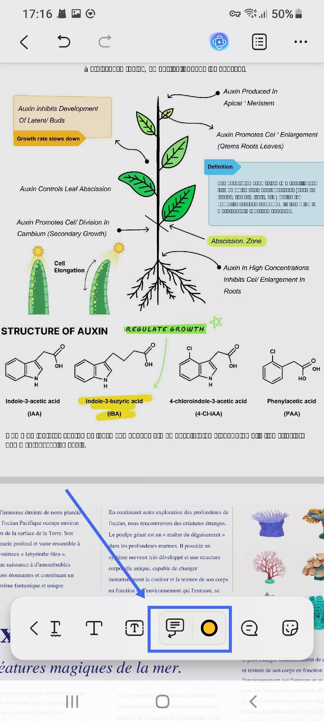 ajouter une légende de texte