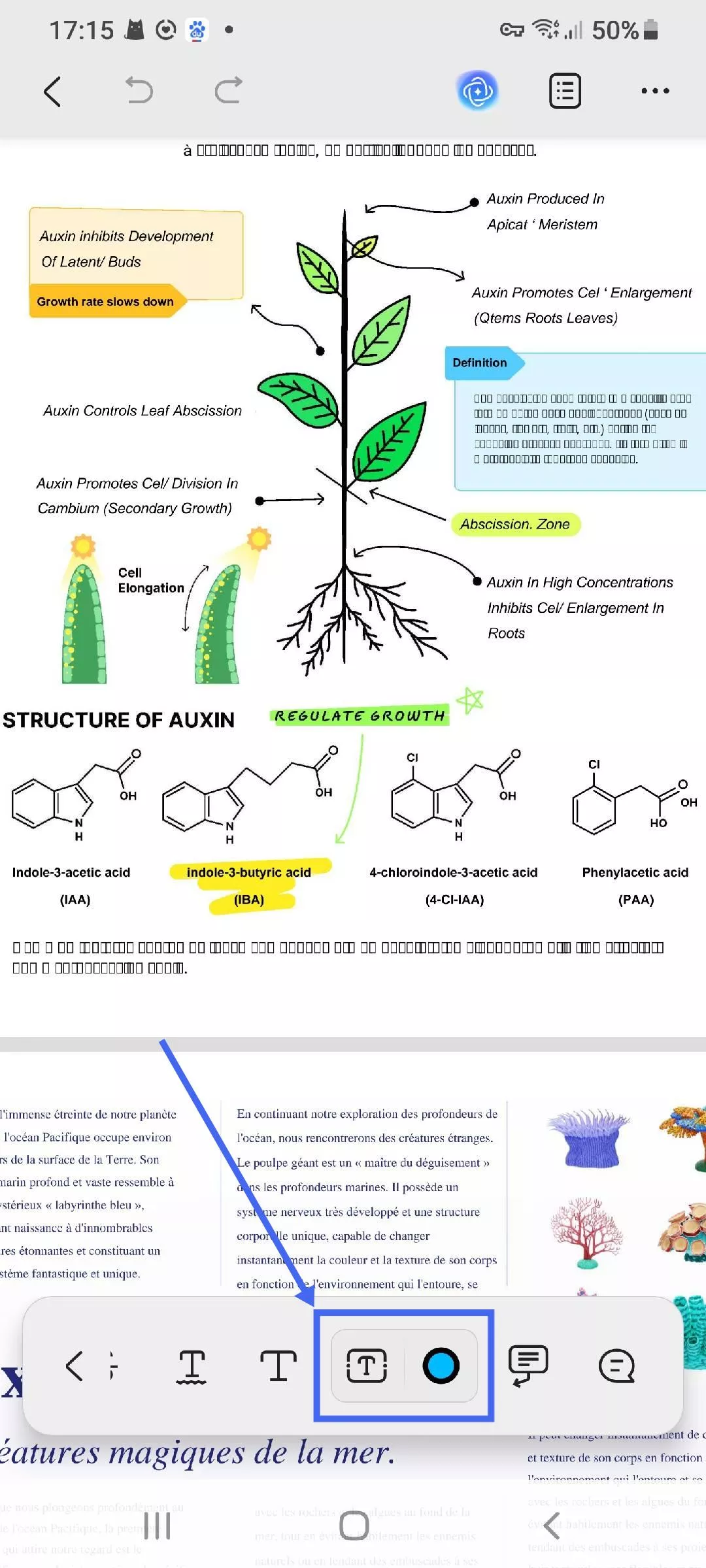 ajouter une zone de texte