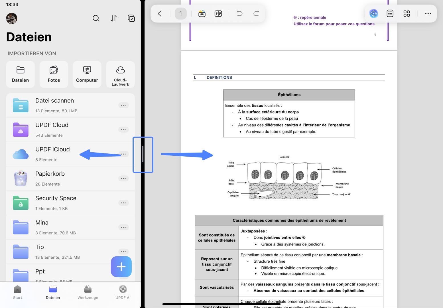 dual screen modus