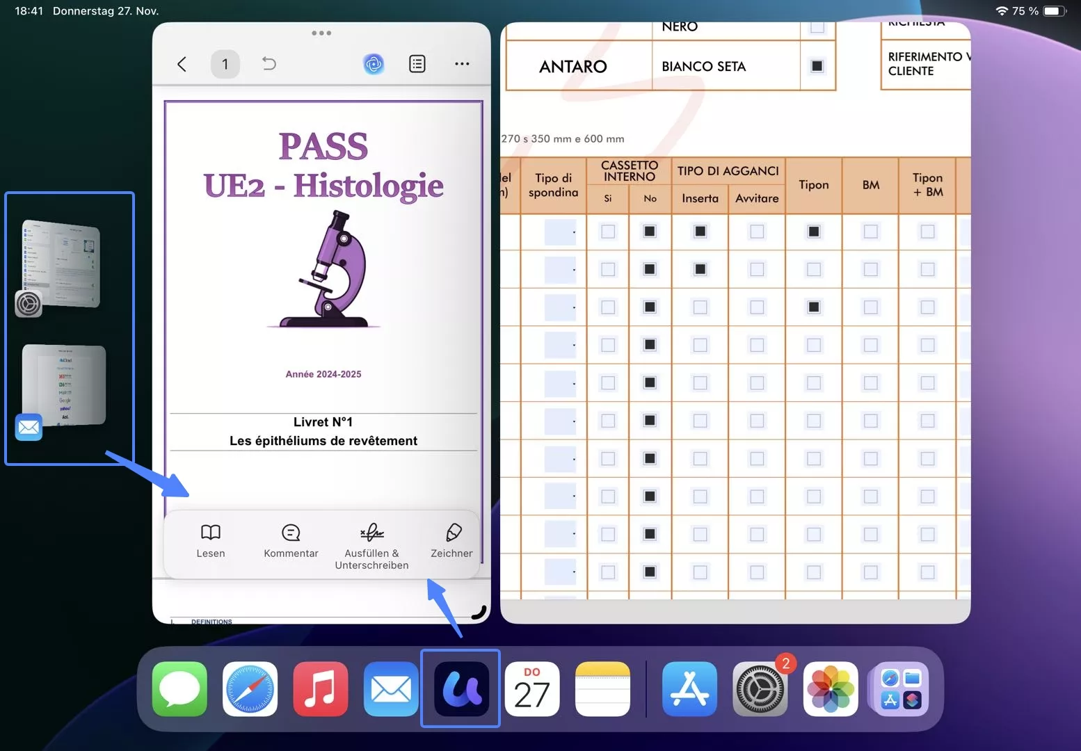 iPad für die Verwendung in mehreren Fenstern einrichten