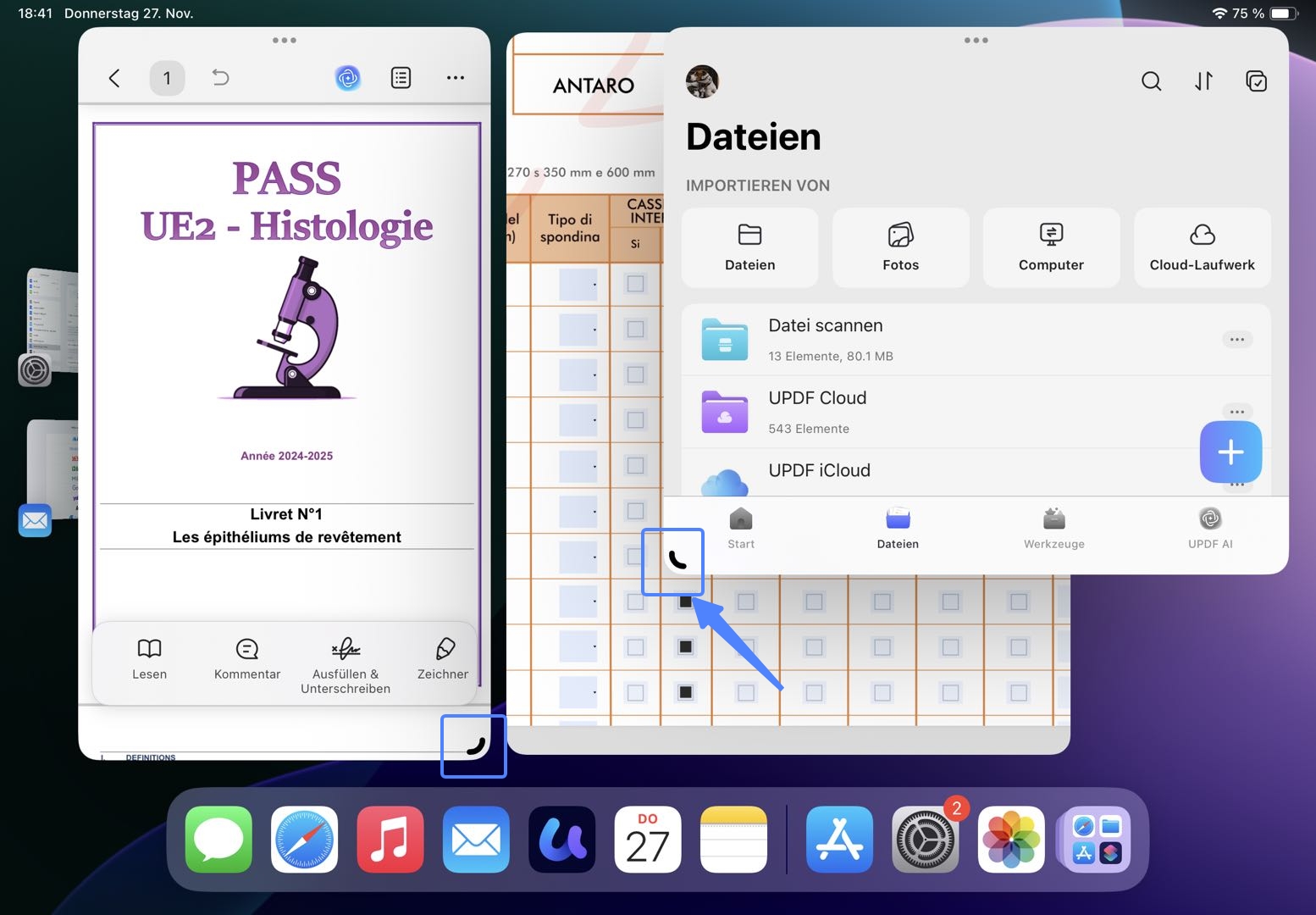 iPad für die Verwendung in mehreren Fenstern einrichten