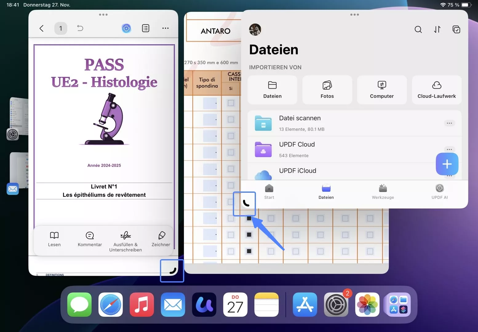 iPad für die Verwendung in mehreren Fenstern einrichten