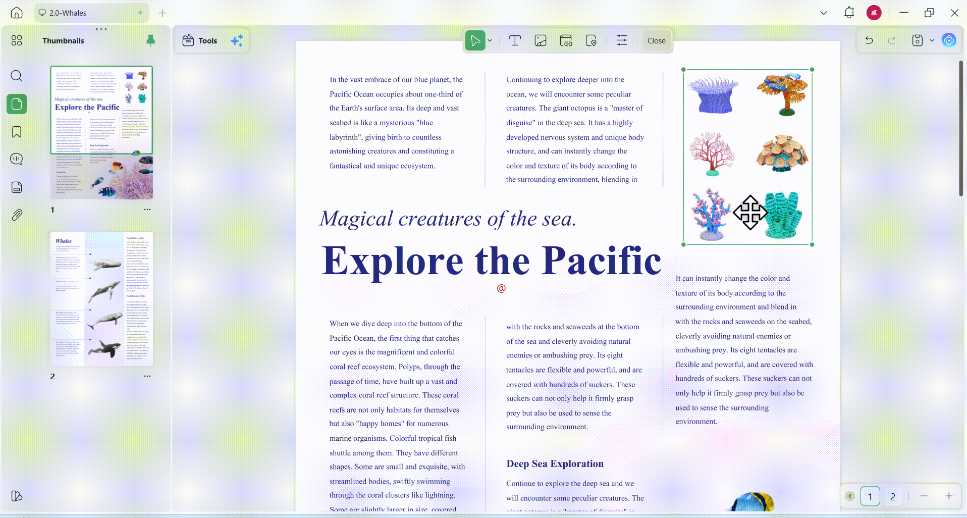 modify PDF image
