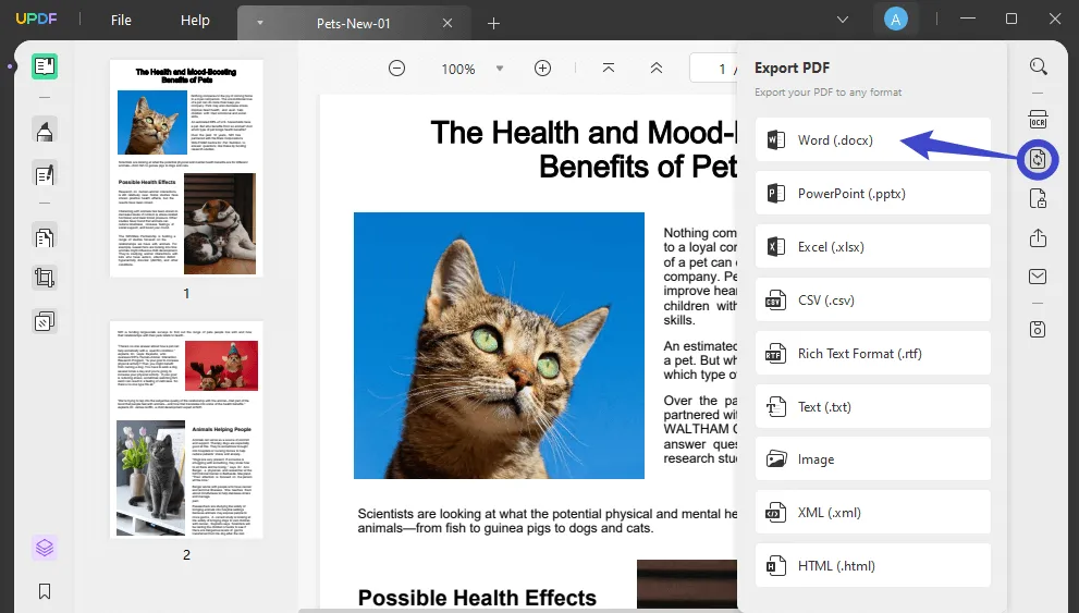 preview app for windows convert pdf