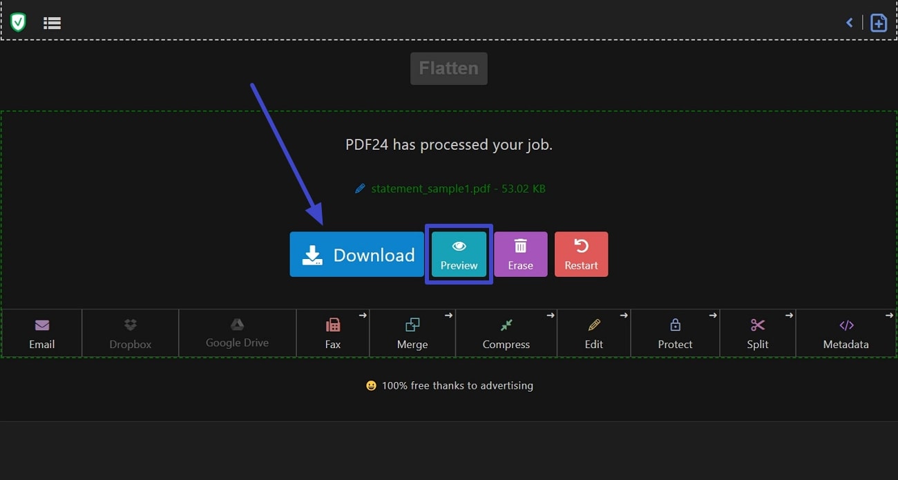 preview and download the file