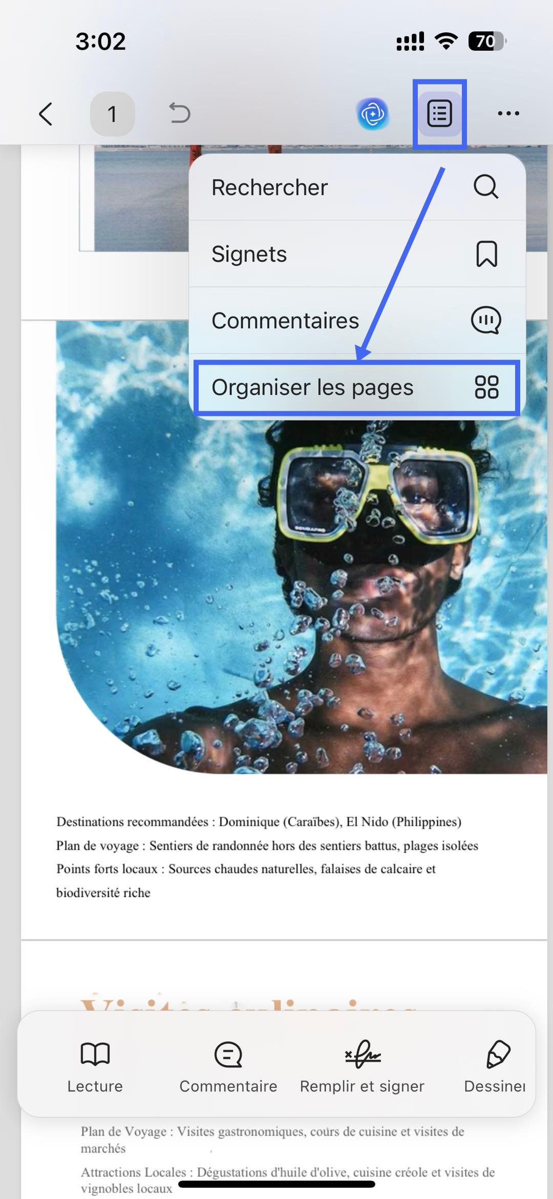 accès aux pages fractionnées iOS updf