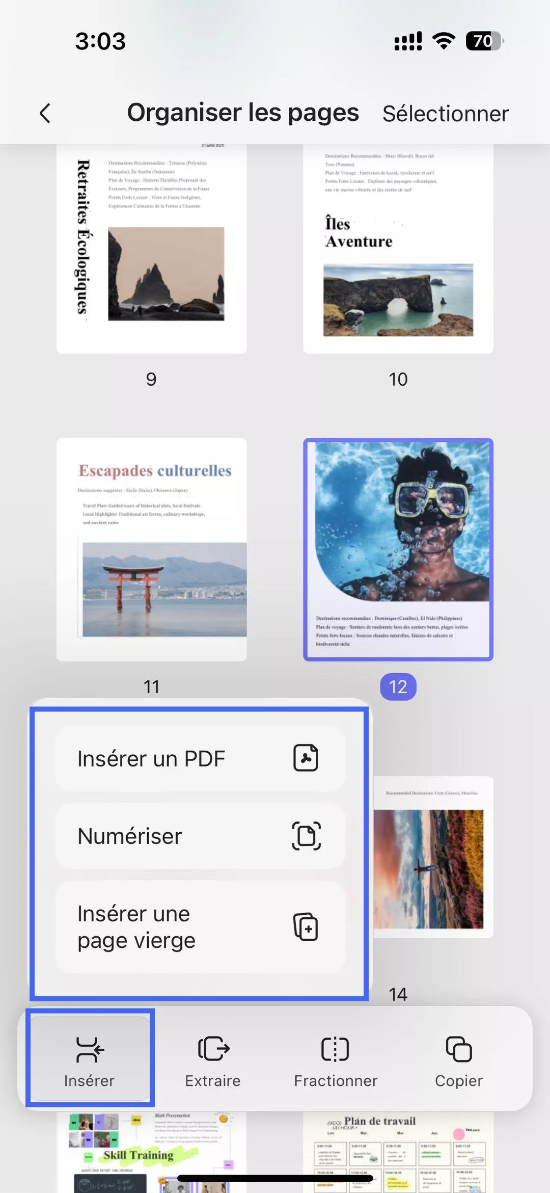 Cliquez sur le bouton « Organiser les pages ».