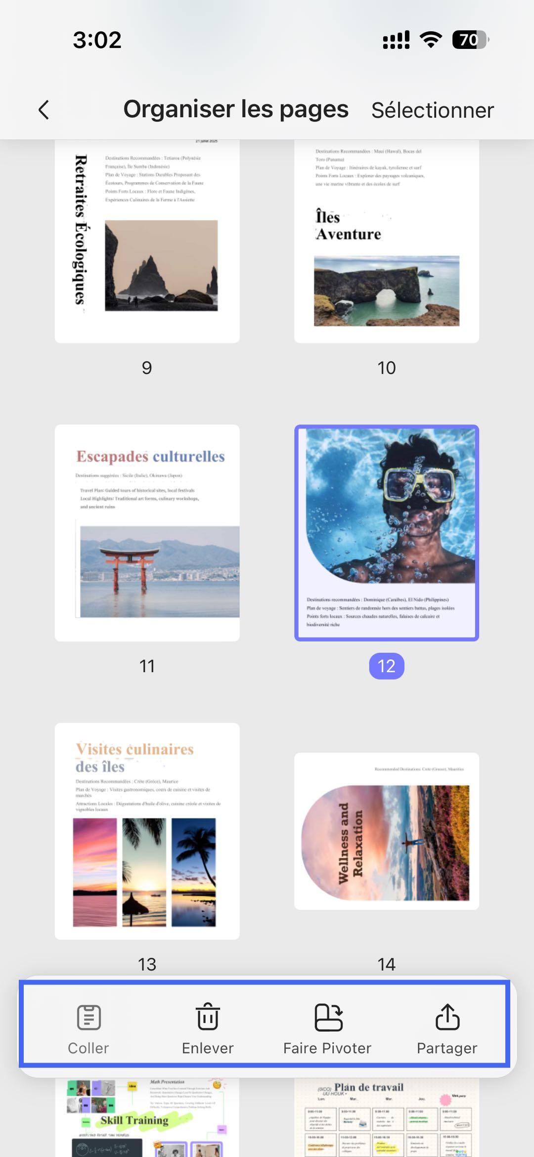 barre d'outils d'organisation des pages updf ios