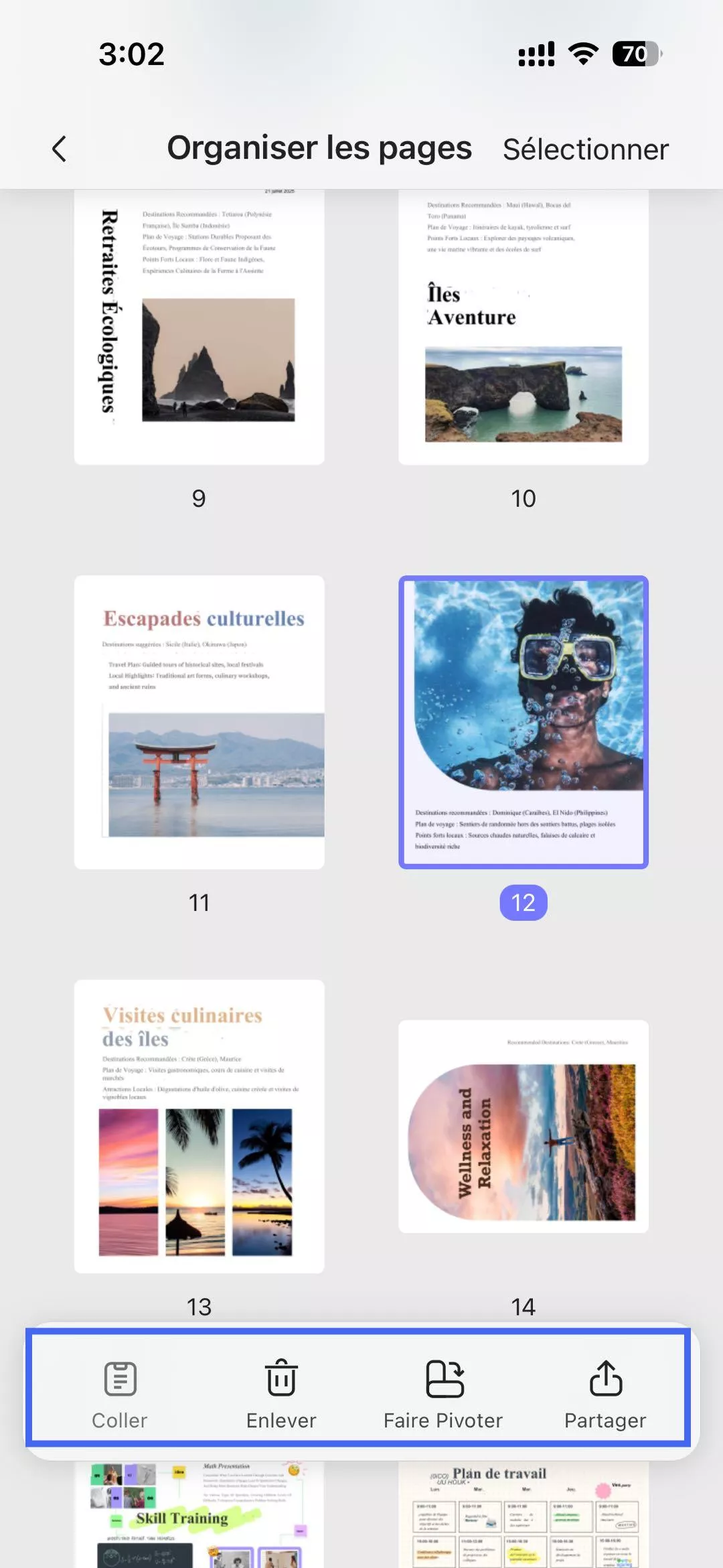 barre d'outils d'organisation des pages updf ios