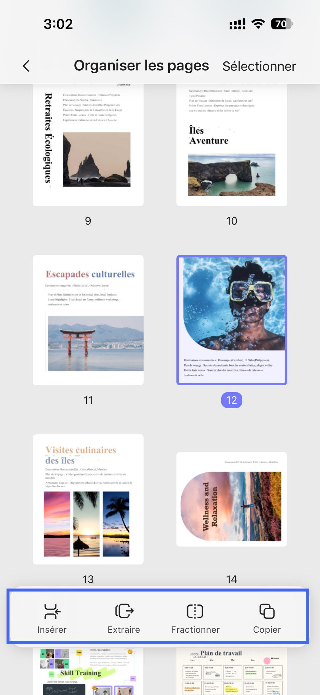barre d'outils d'organisation des pages updf ios