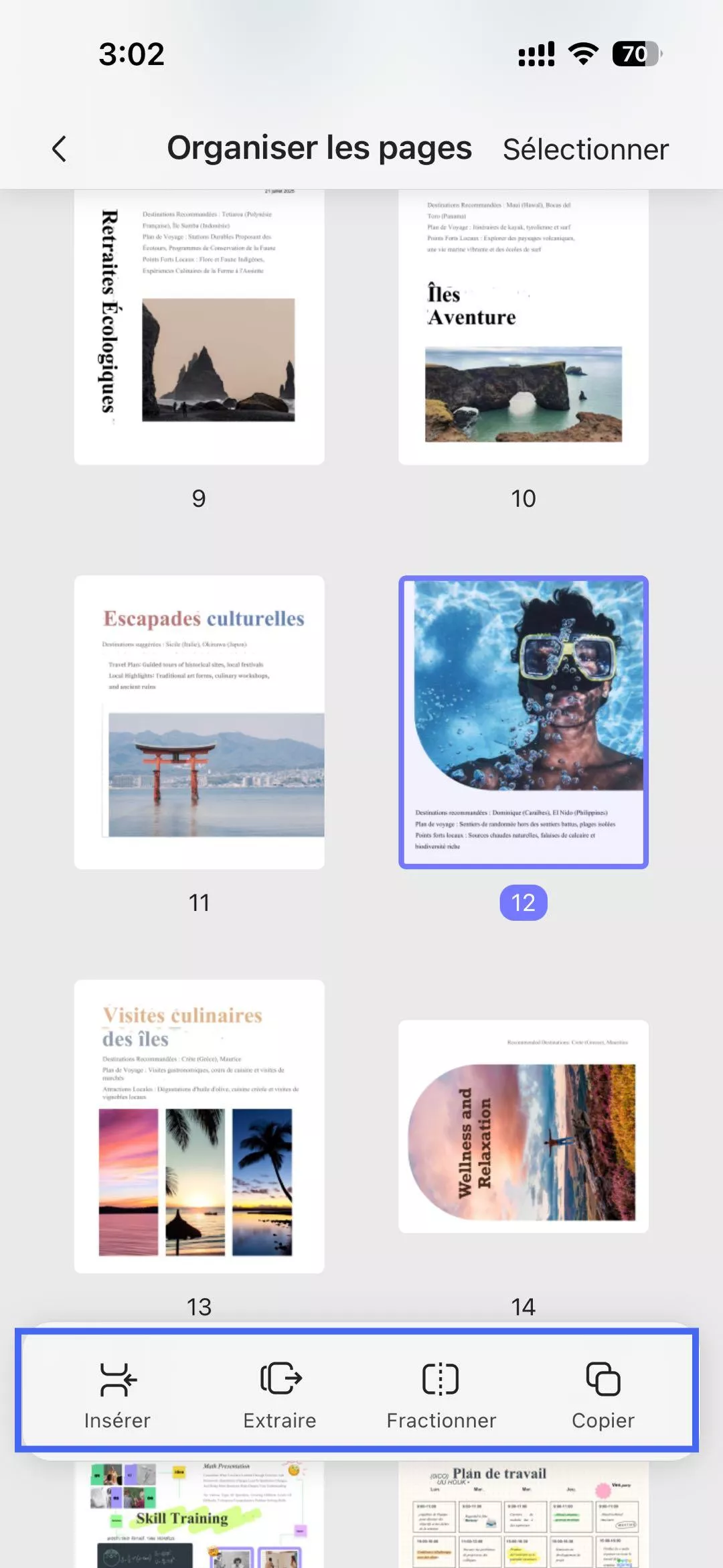 barre d'outils d'organisation des pages updf ios