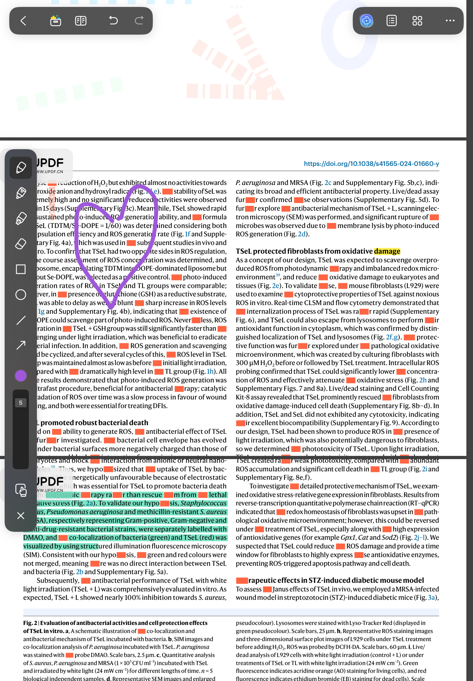 remove pdf annotation ipad