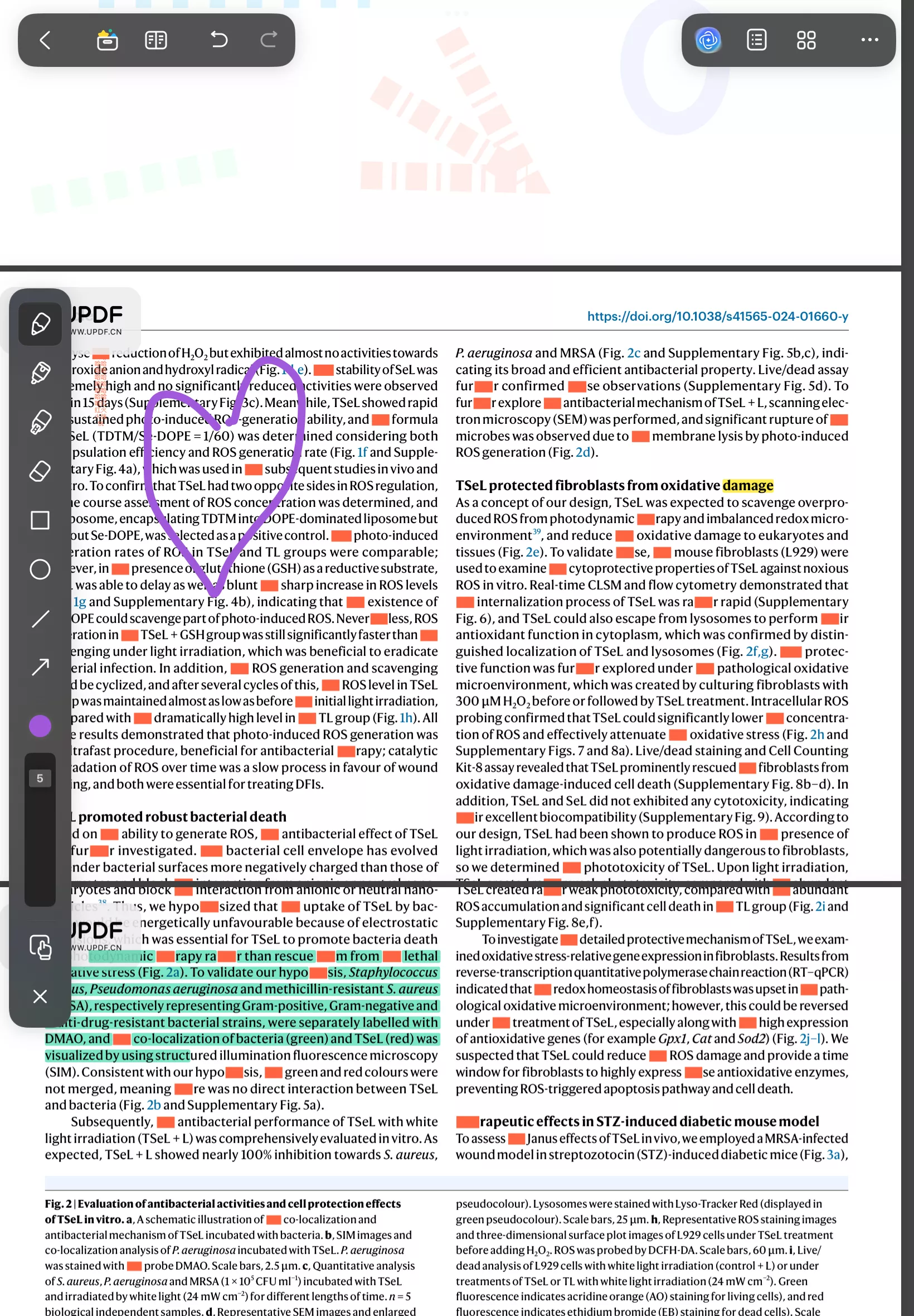 remove pdf annotation ipad
