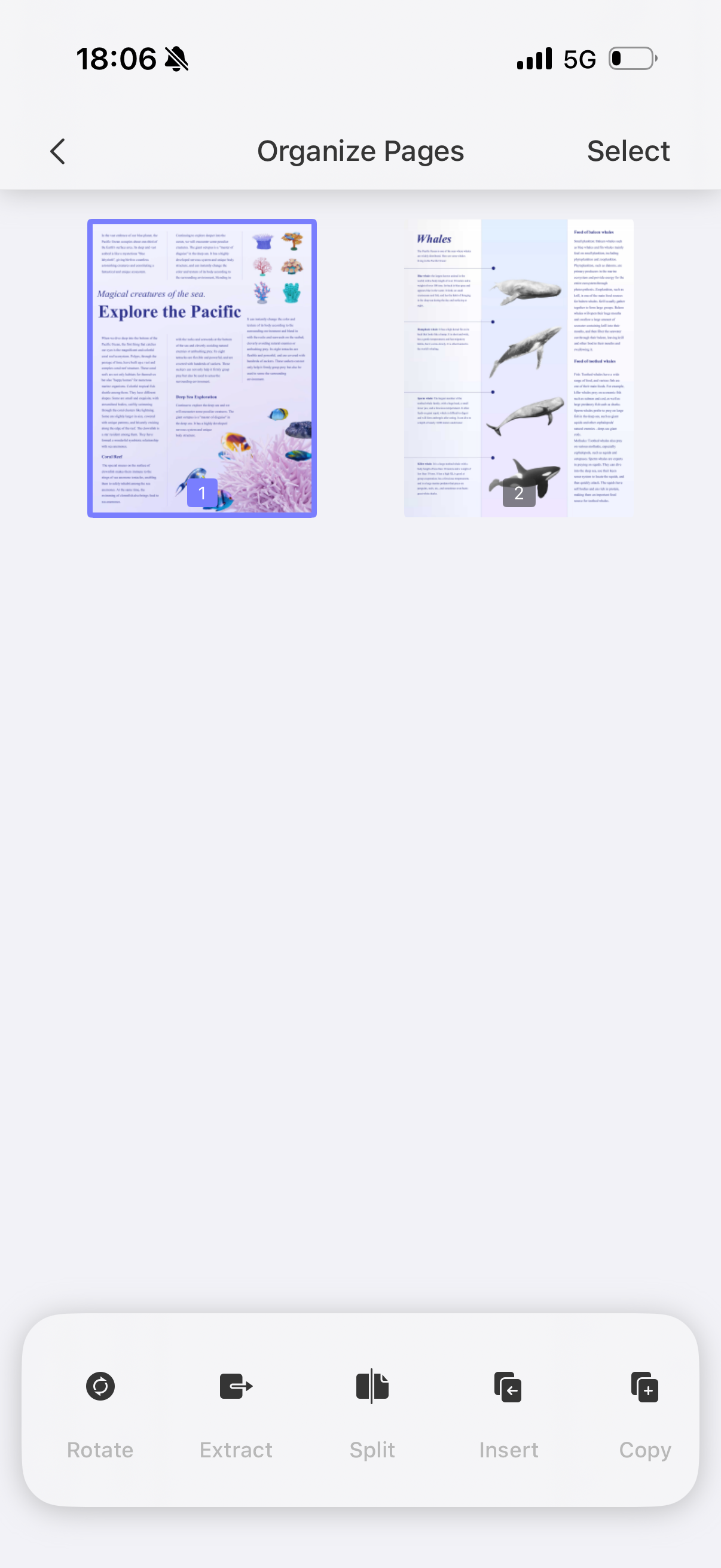rotate pages