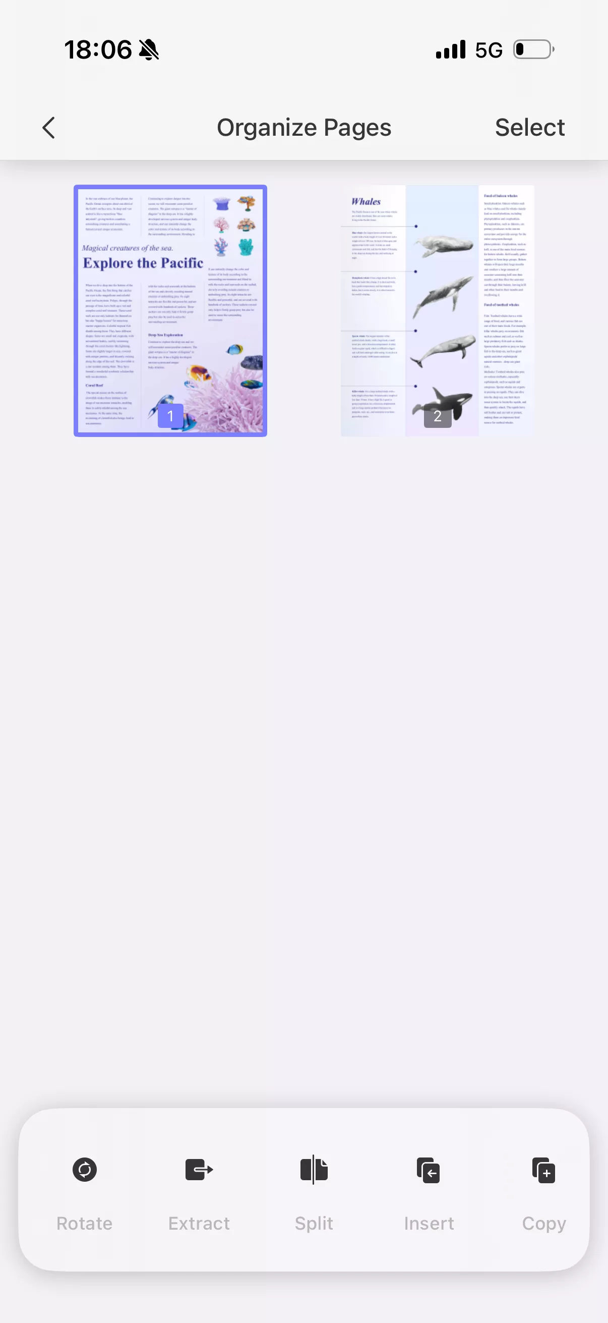 rotate pages