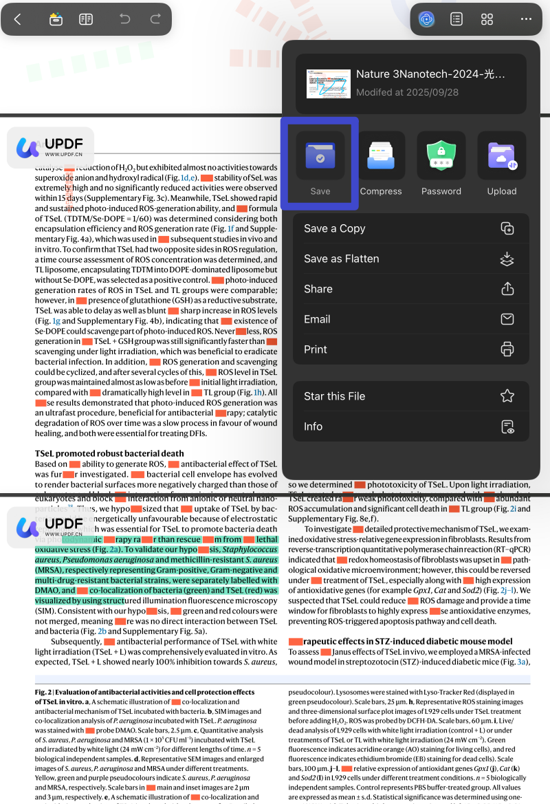 save the annotated pdf