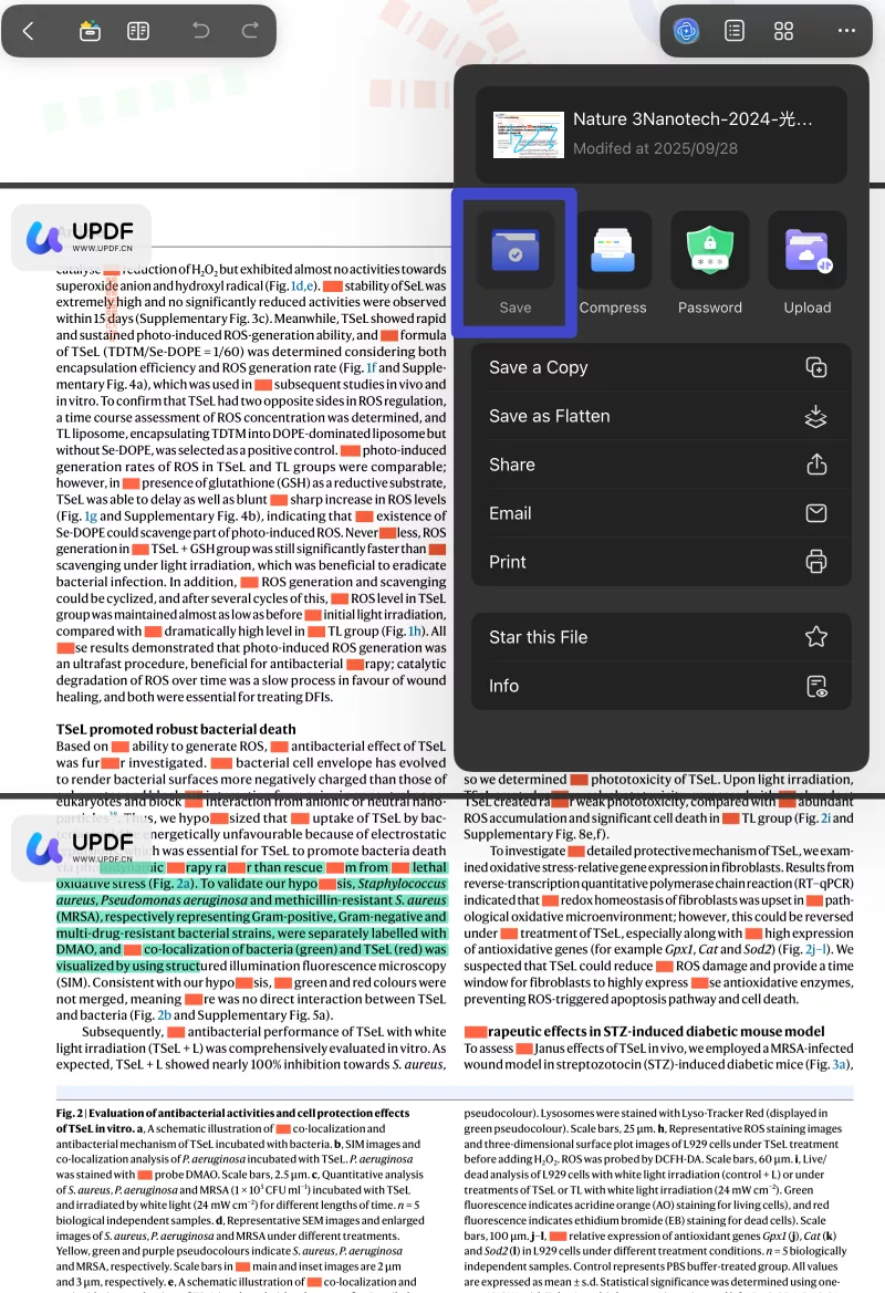 save the annotated pdf