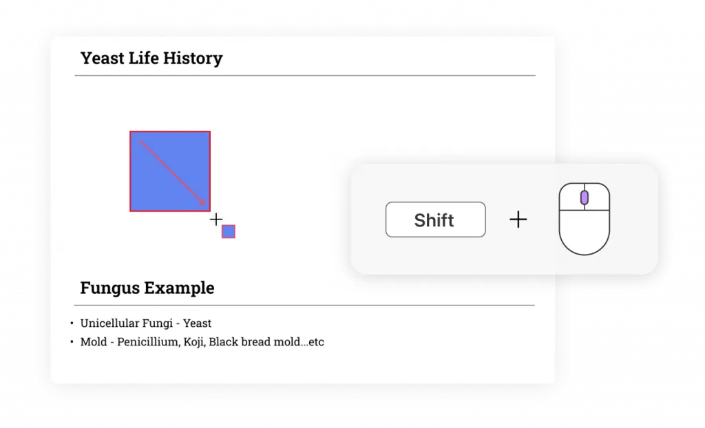 Maintenir la touche Shift enfoncée pour dessiner des formes proportionnelles