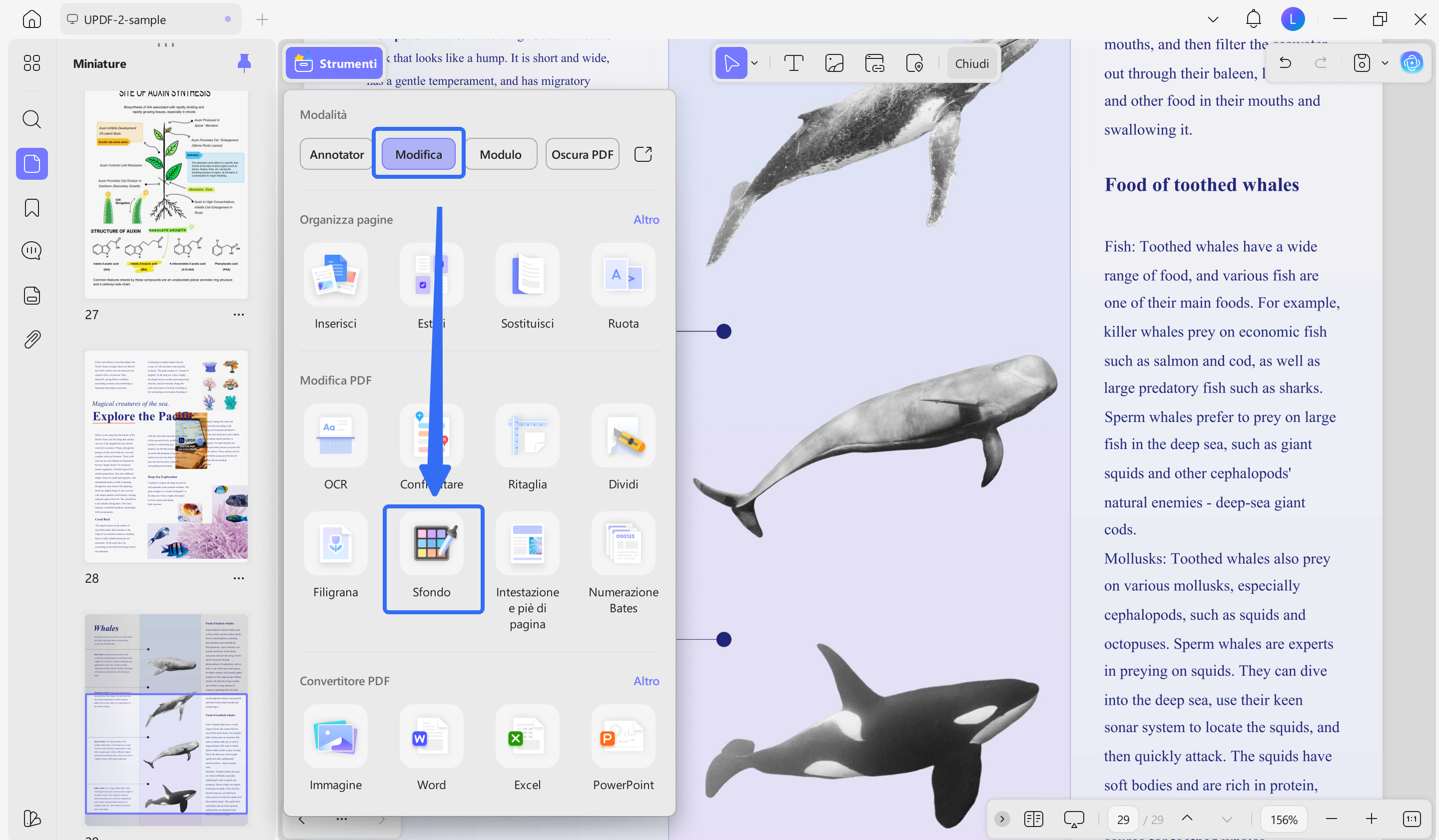 add  background image to PDF with UPDF