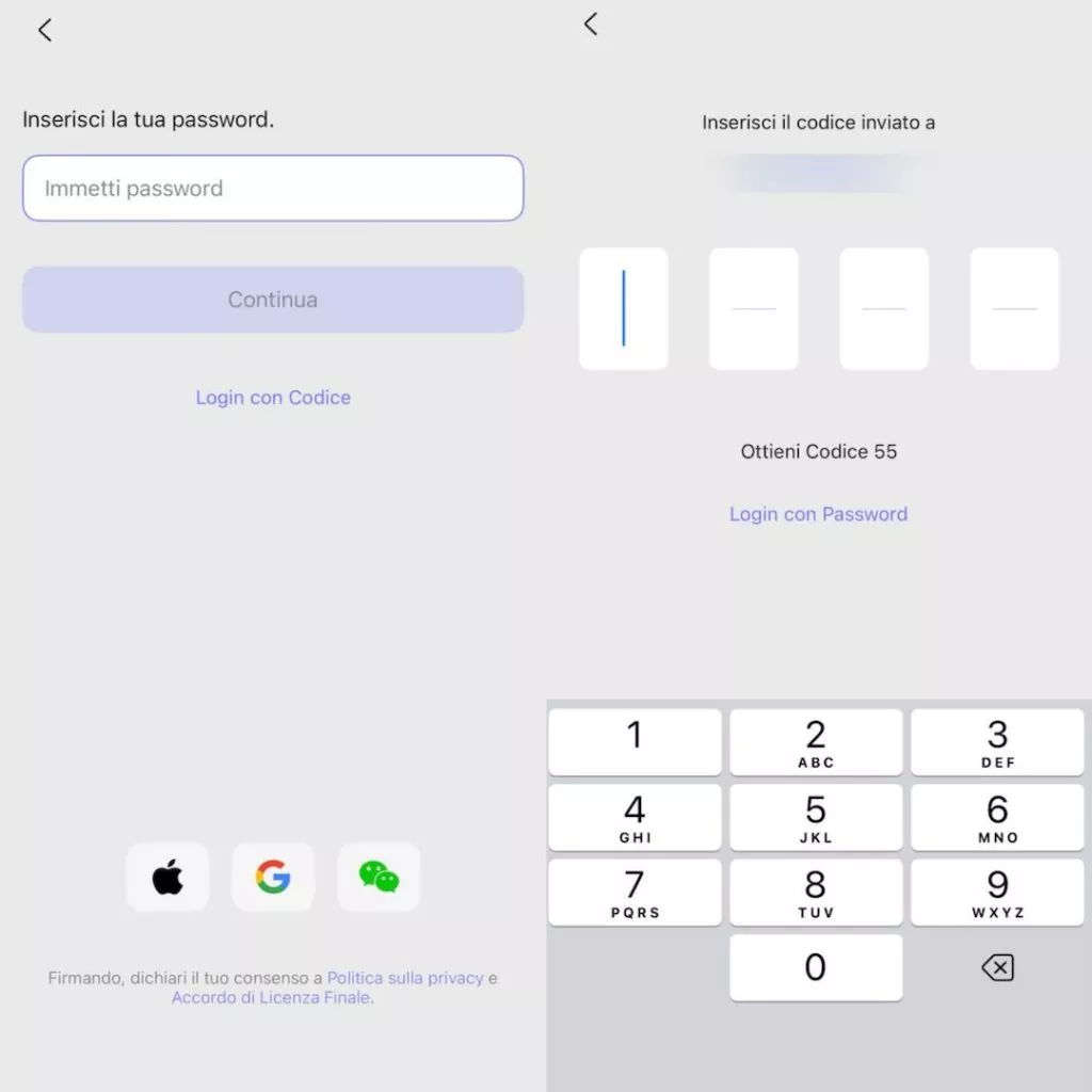 log in with password o code ios