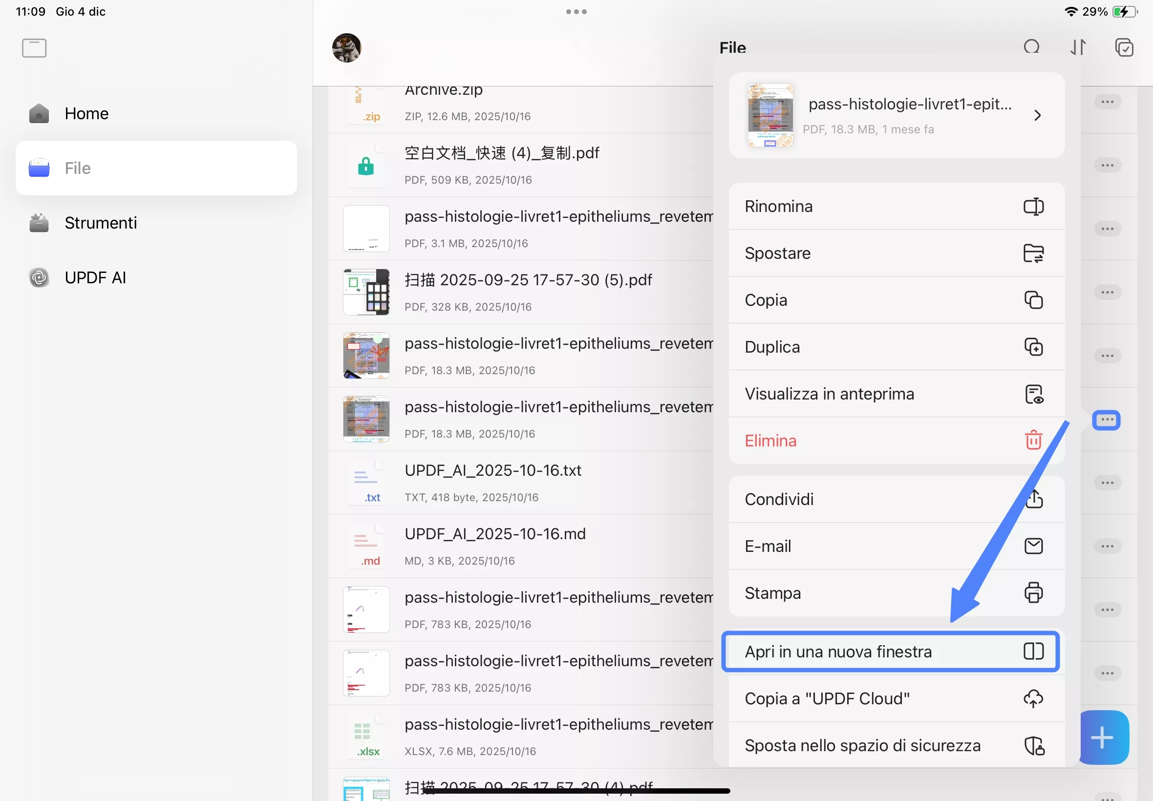 open in new window ipad