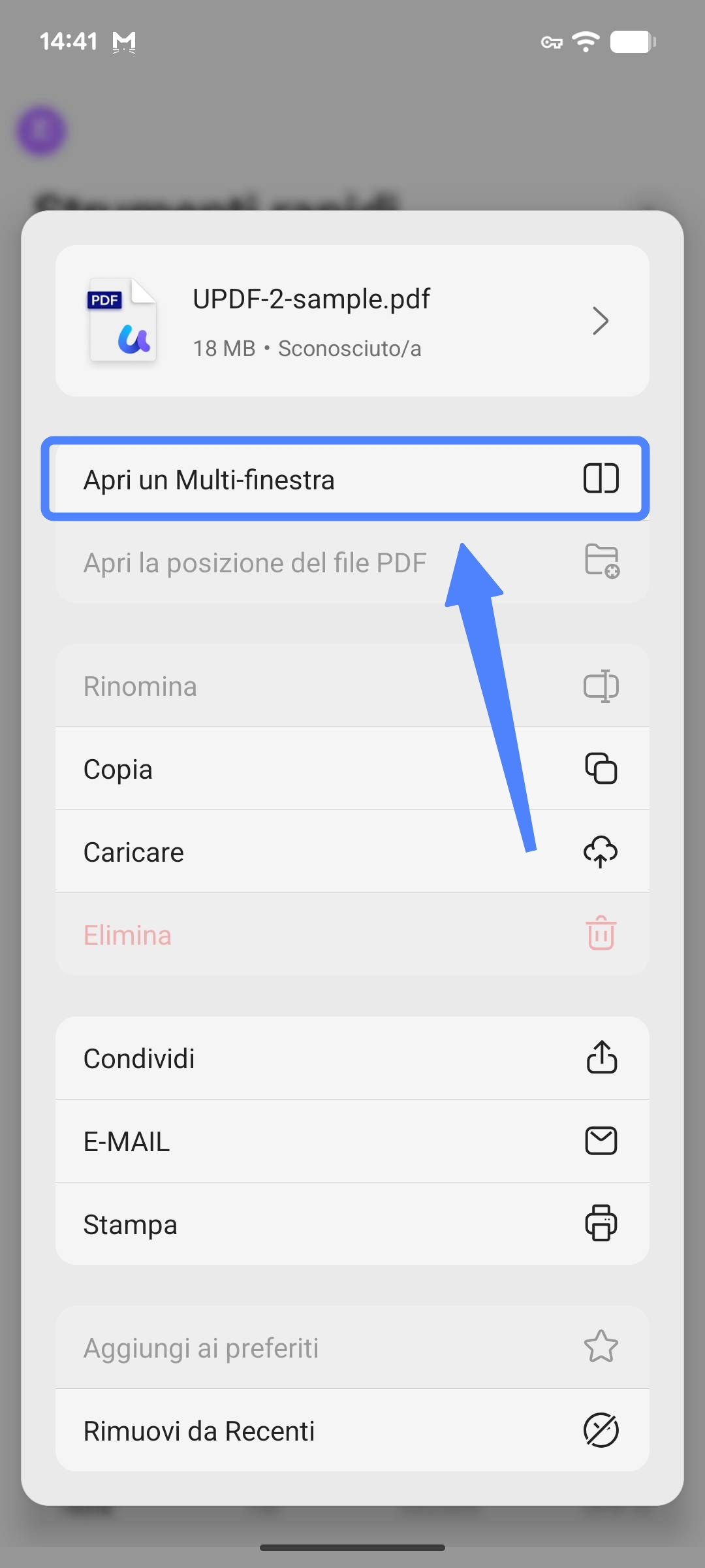 open in multi window