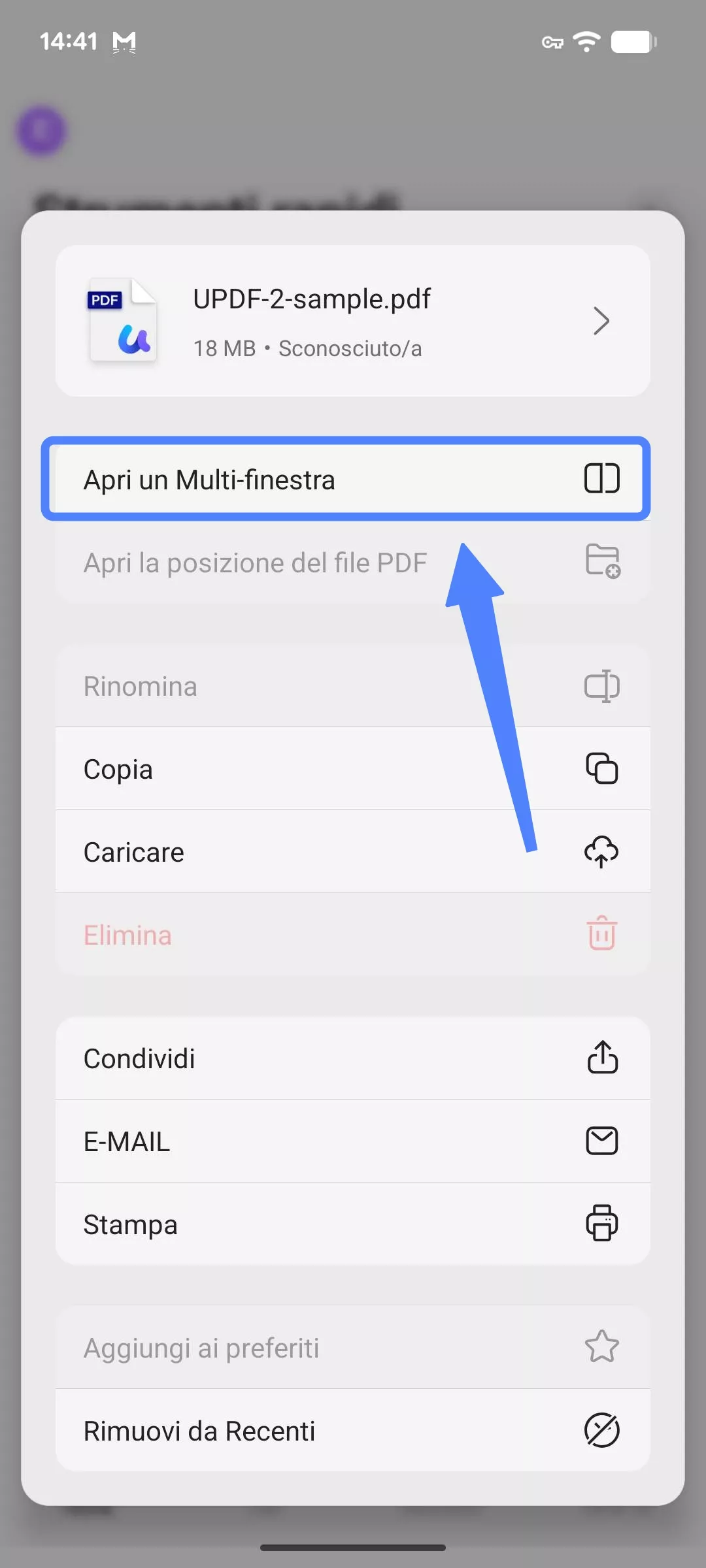 open in multi window