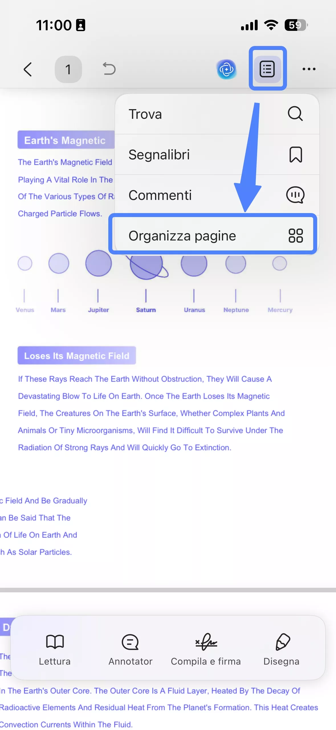 click organize pages button