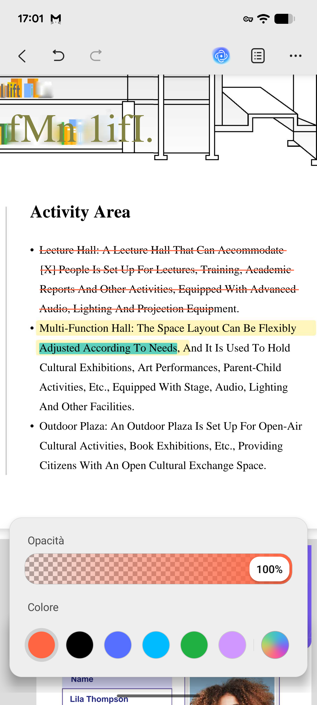 edit the strikethrough