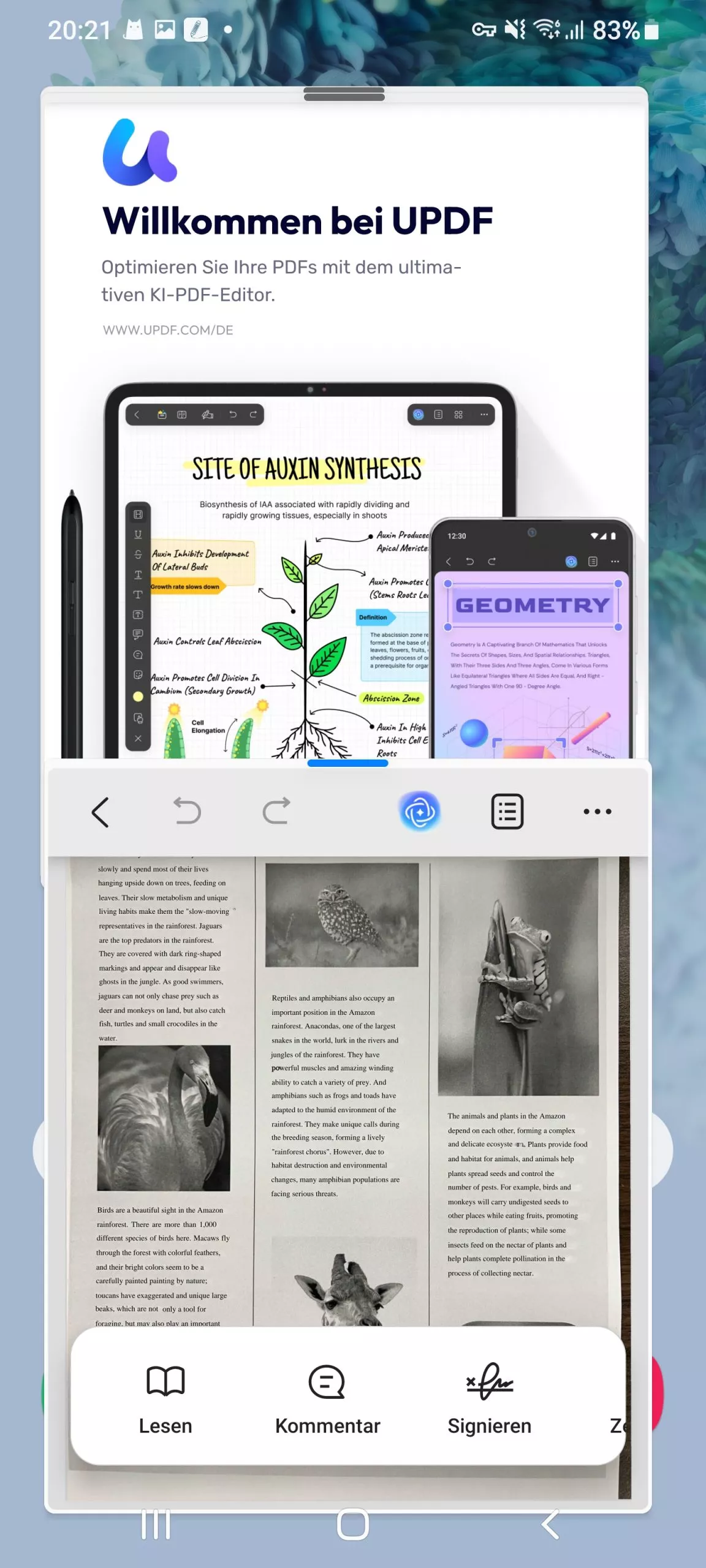 Multitasking-Ansicht