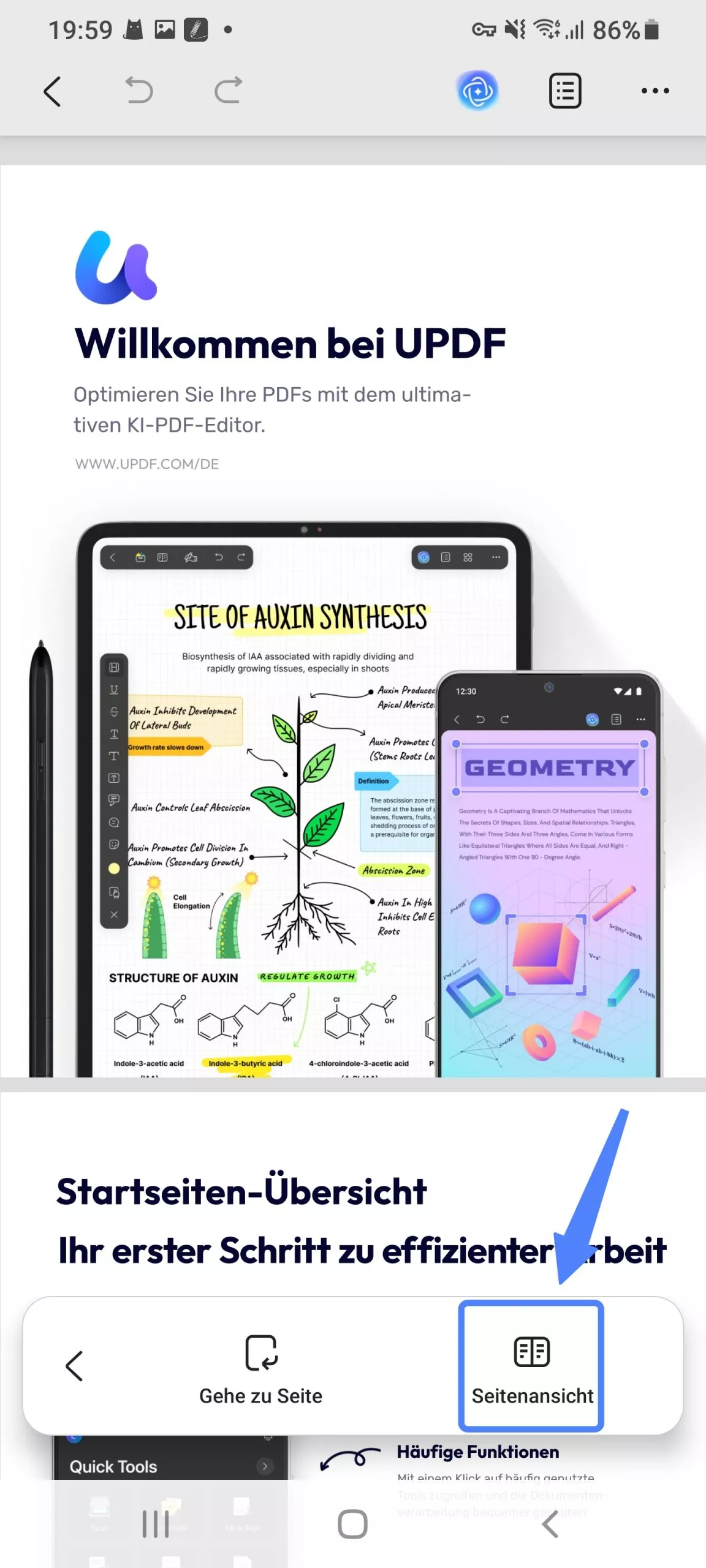 Wählen Sie „Seitenansicht“.